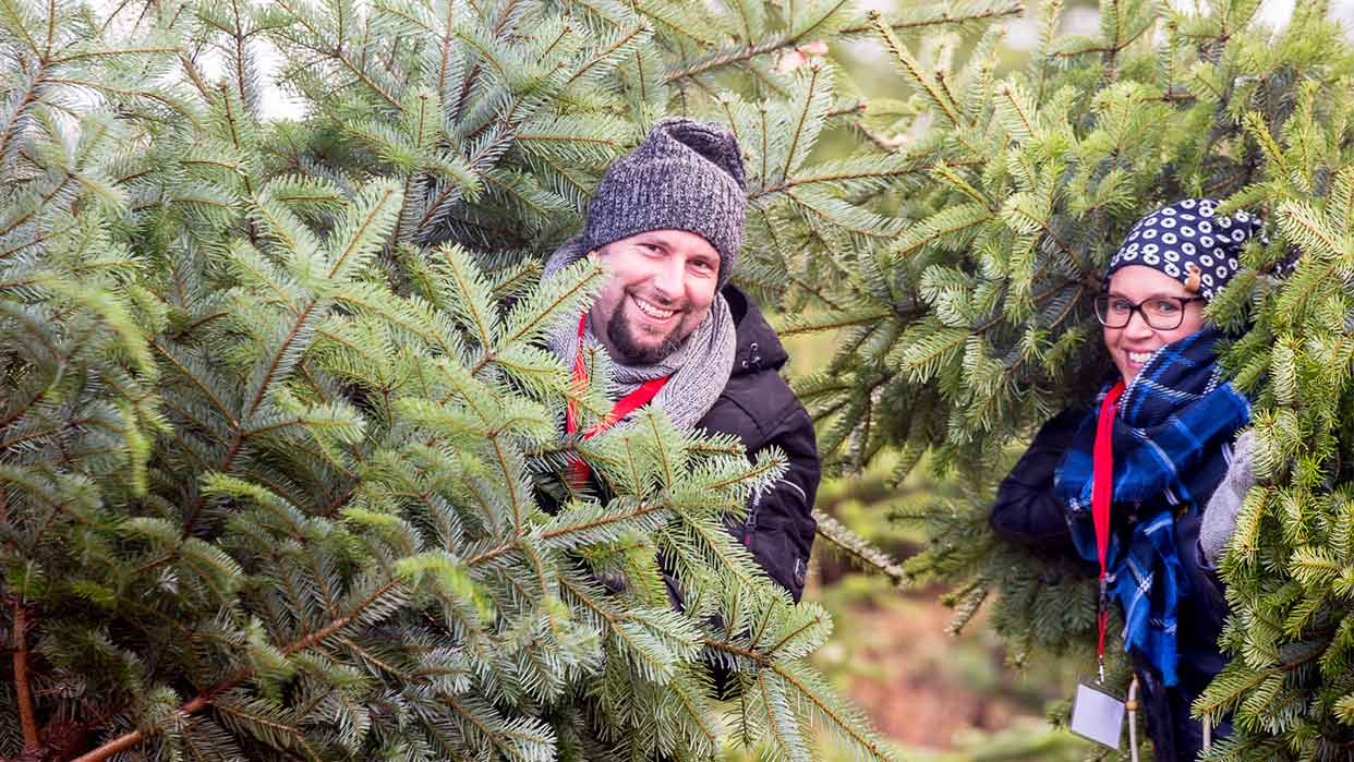 Zwei Personen mit Winterkleidung und roten Halstüchern stehen zwischen dichten Tannenzweigen im Freien.