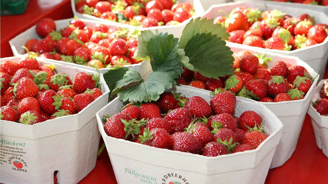 Mehrere weiße Schalen gefüllt mit frischen roten Erdbeeren, eine Schale mit grünen Blättern in der Mitte.