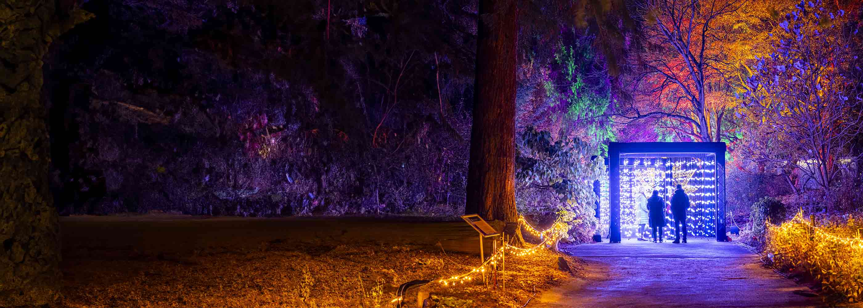 Zwei Personen stehen vor einem beleuchteten Torbogen im Christmas Garden Hamburg, umgeben von bunt beleuchteten Bäumen und einem Weg.