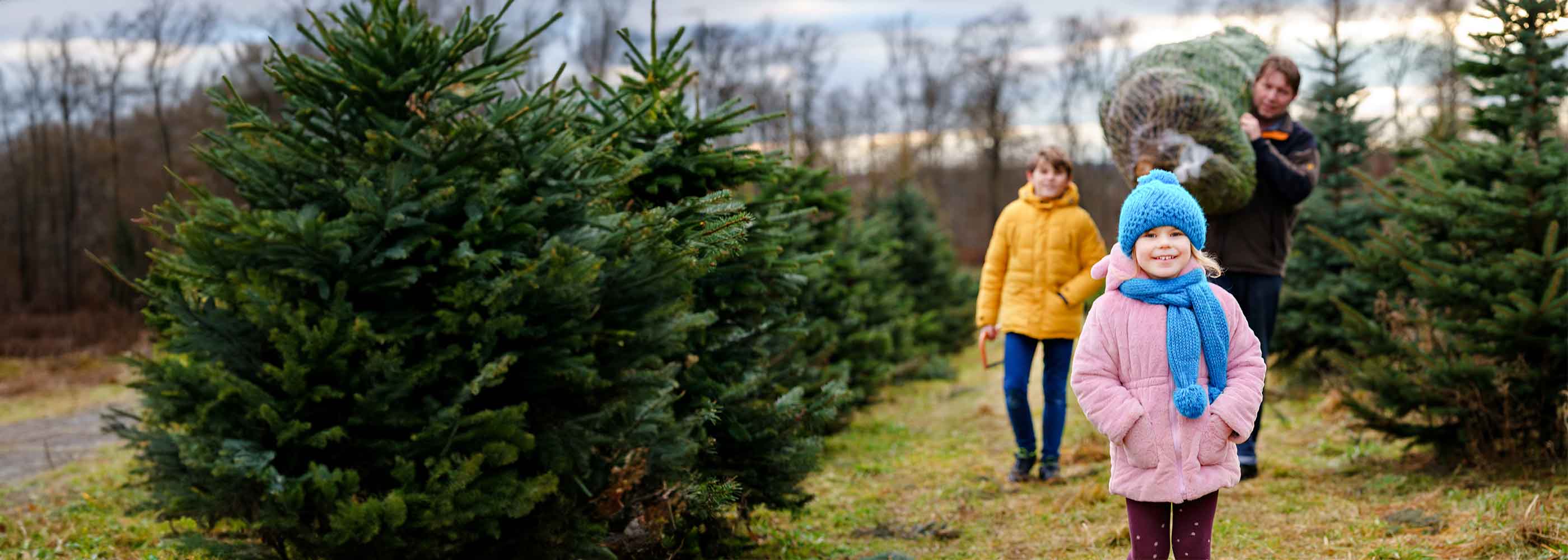 Drei Personen, darunter zwei Kinder in bunter Winterkleidung, tragen einen frisch geschlagenen Weihnachtsbaum durch ein Feld mit Tannenbäumen, im Hintergrund bewölkter Himmel.